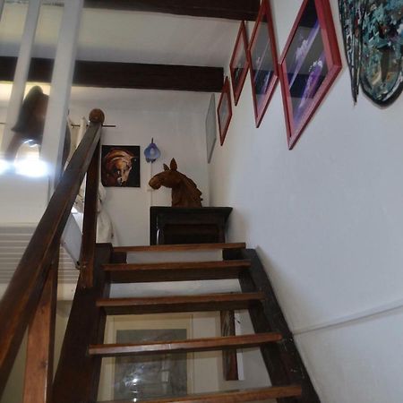 Gites Chambres D'Hotes Mazet Du Marechal Ferrant Saintes-Maries-de-la-Mer Ngoại thất bức ảnh