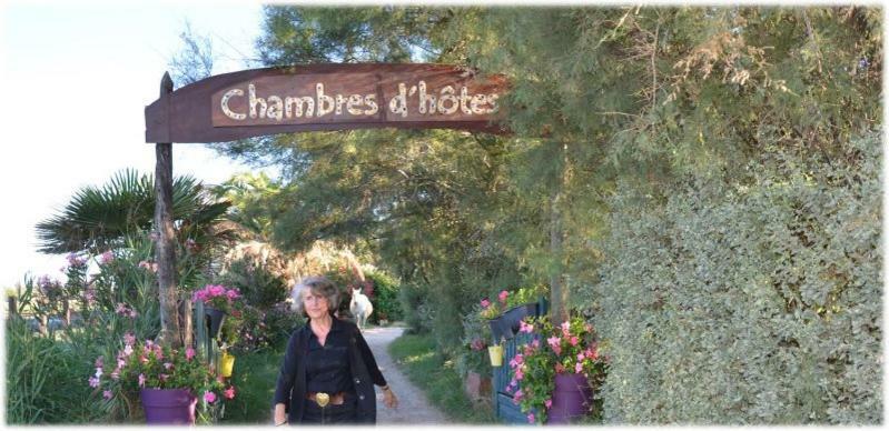 Gites Chambres D'Hotes Mazet Du Marechal Ferrant Saintes-Maries-de-la-Mer Ngoại thất bức ảnh