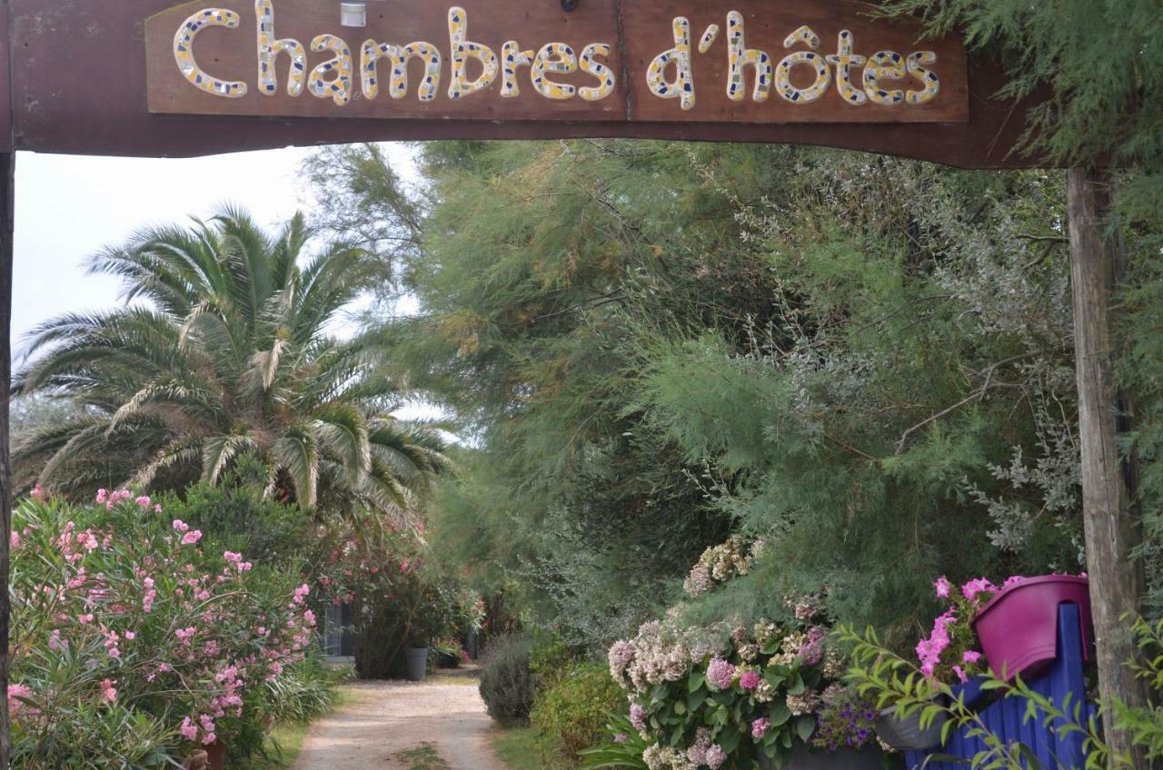 Gites Chambres D'Hotes Mazet Du Marechal Ferrant Saintes-Maries-de-la-Mer Ngoại thất bức ảnh